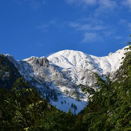 Troadkasten Appartement *