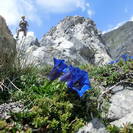 Appartement Troadkasten Kotschach-Mauthen