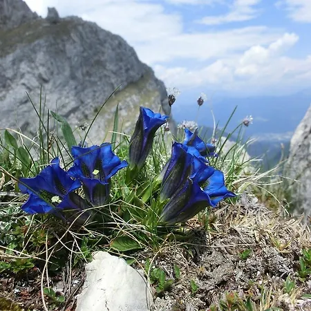 Appartement Troadkasten