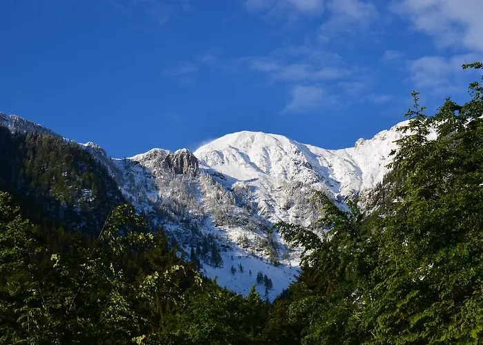 Troadkasten דירה *