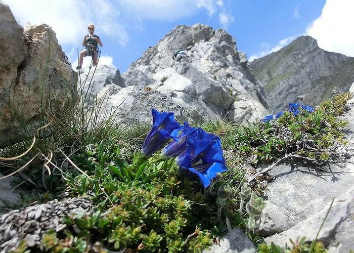 Lejlighed Troadkasten Kotschach-Mauthen