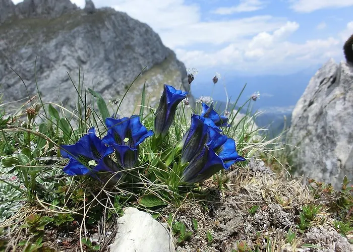 Lejlighed Troadkasten